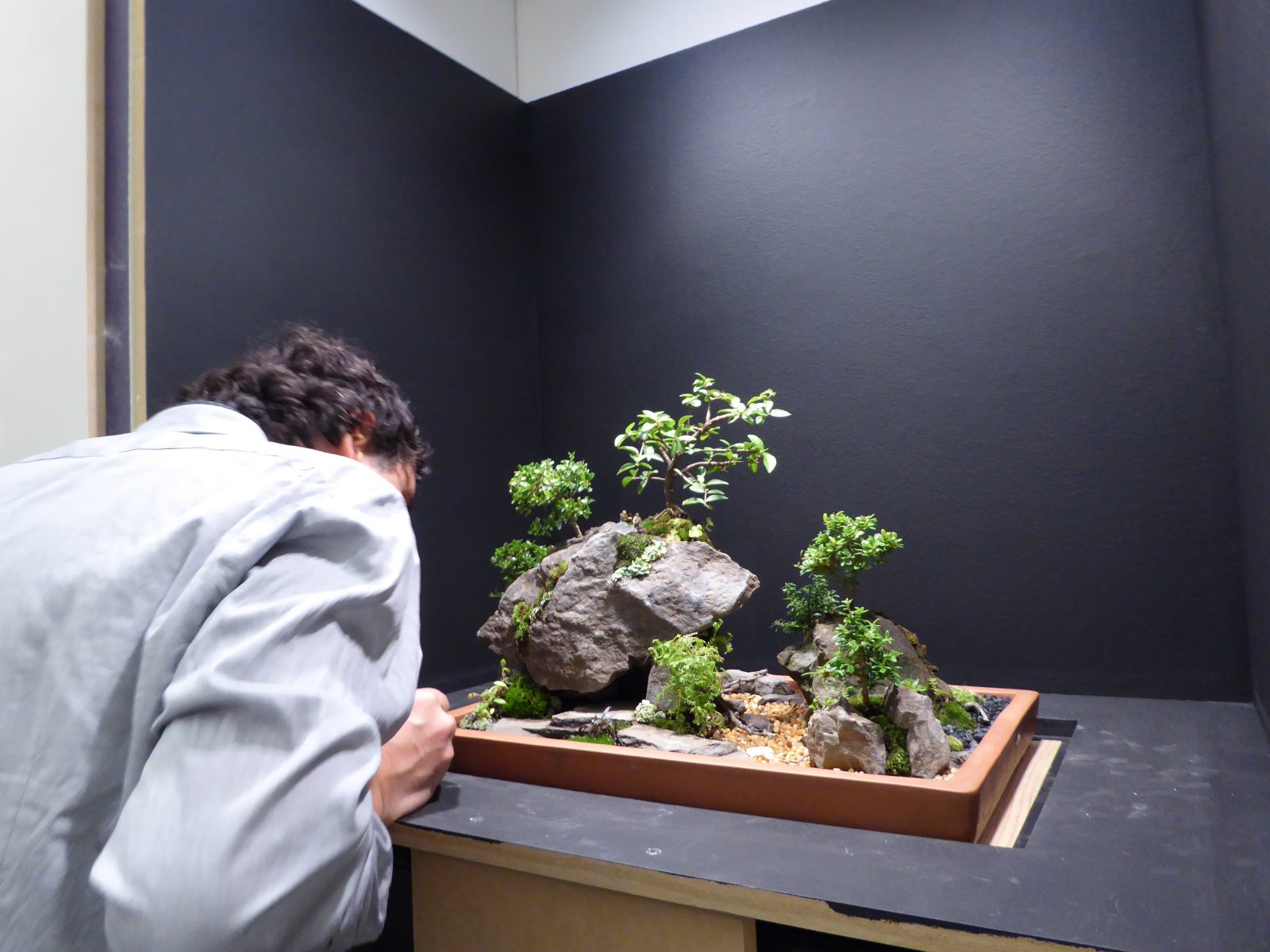The Bonsai art of Bonsai NYC RESOBOX