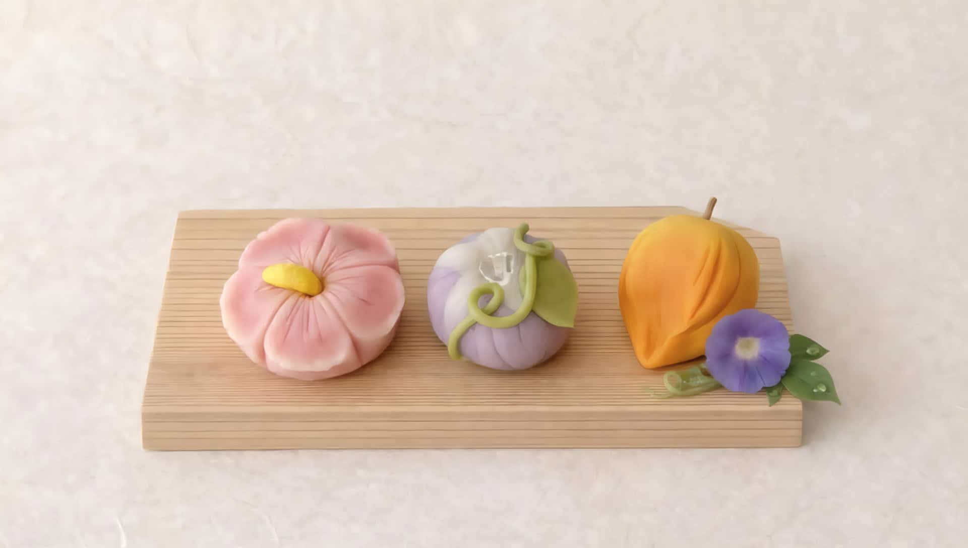 wagashi-class-morning-glories-a-hibiscus-and-a-hozuki-Japanese-lantern-plants