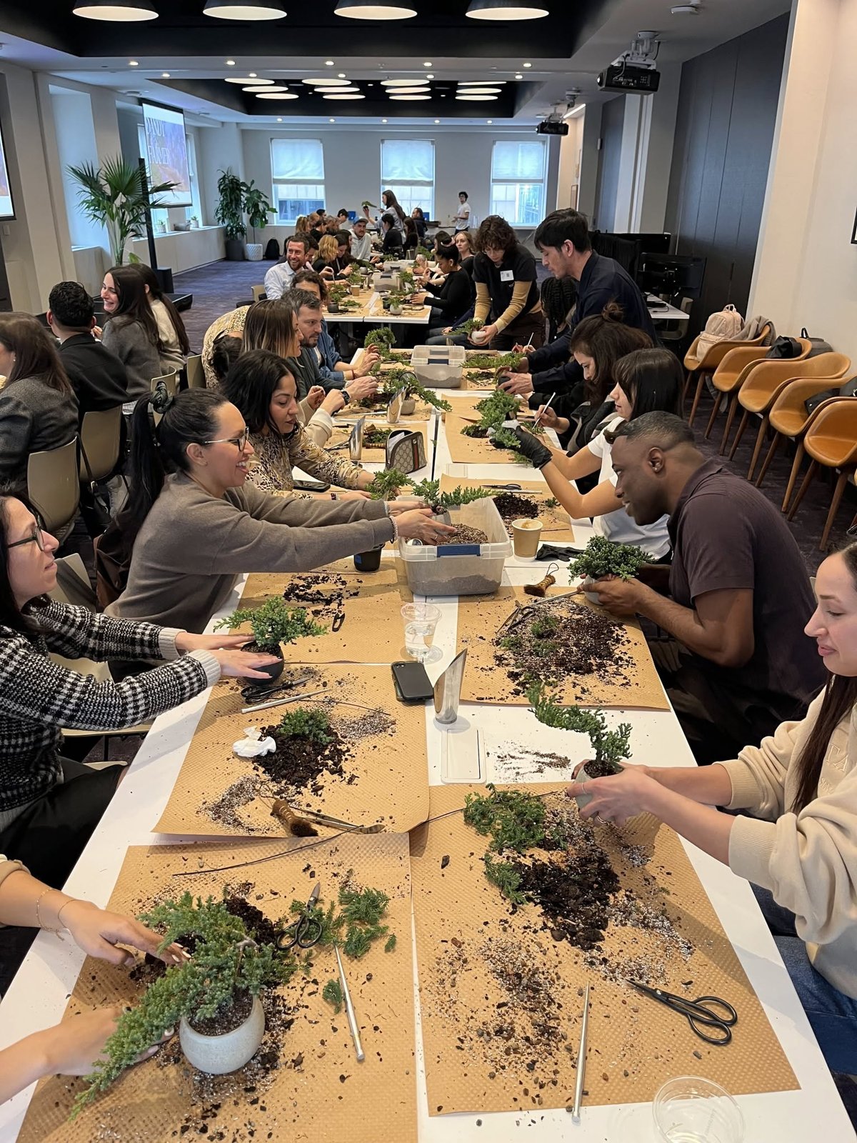 Sixty participants shaping juniper bonsai along long tables at the company gathering