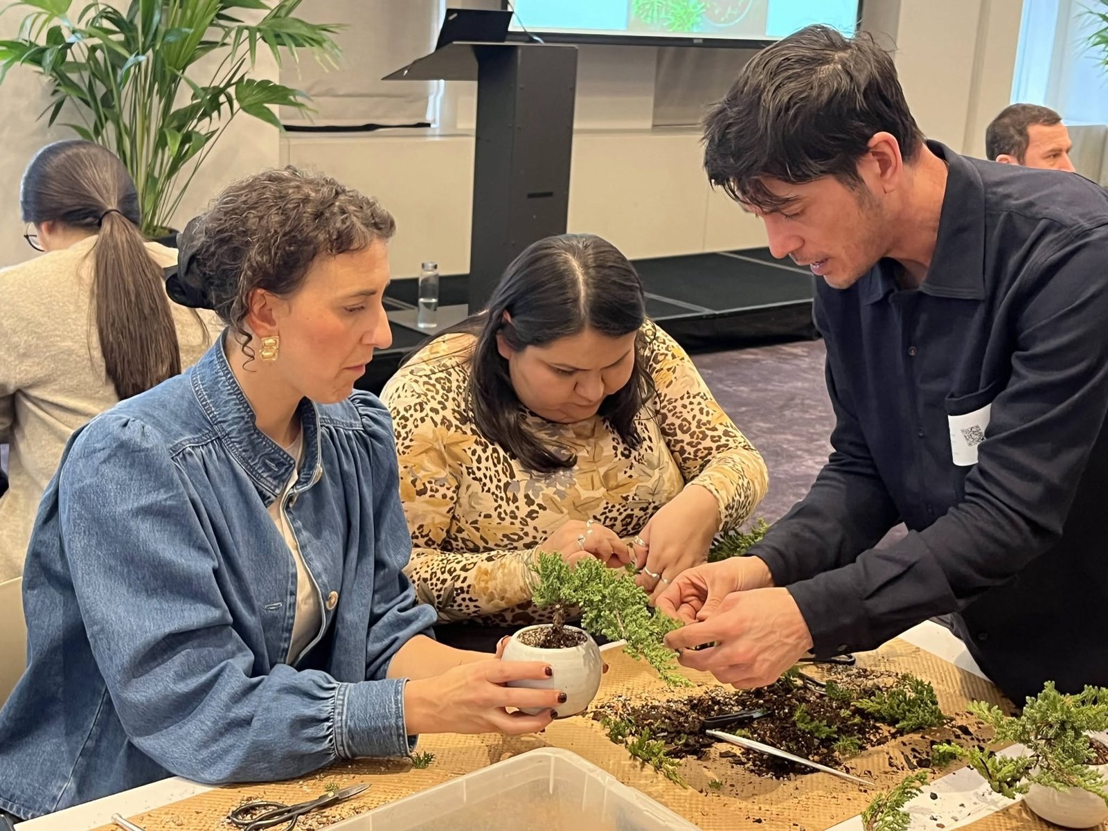 Matthew of Dandy Farmer guiding participants as they shape their bonsai