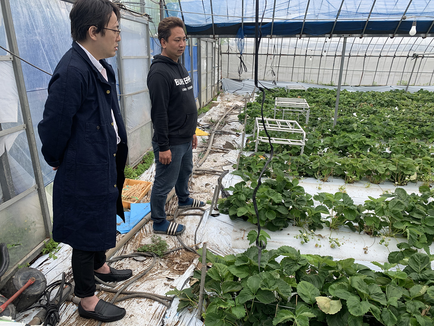 イチゴラスCEO・森川竜典さんと弊社池澤