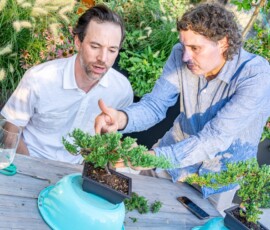 Bonsai master Julian Velasco (right) discussing pruning techniques with a participant over a juniper bonsai during an outdoor rooftop bonsai class