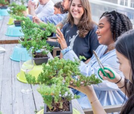 Participants laughing and pruning juniper bonsai trees during a lively outdoor rooftop bonsai class in New York City