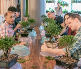 Participants working on their bonsai trees along a long wooden table during an indoor bonsai pruning class