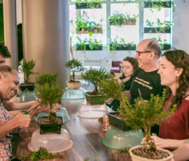 A cheerful group of participants pruning and shaping bonsai trees during an indoor bonsai class, with lush greenery visible through large windows